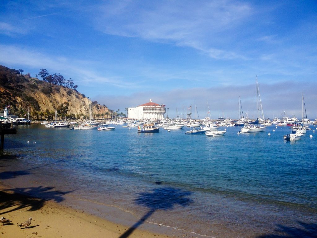 The Top 10 Best Swimming Beaches In Southern California